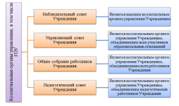Структура и органы управления образовательной организацией